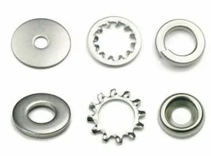 The Ark featured image